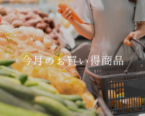 今日のお買い得商品