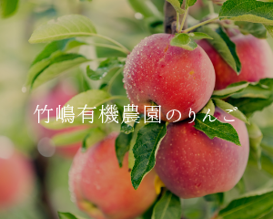 竹嶋有機農園のりんご